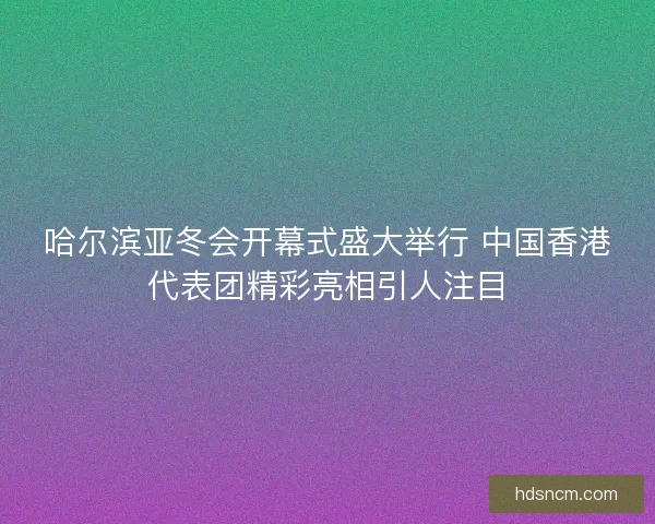 哈尔滨亚冬会开幕式盛大举行 中国香港代表团精彩亮相引人注目 哈尔滨亚冬会开幕式盛大举行 中国香港代表团精彩亮相引人注目